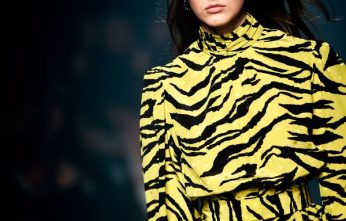animal print