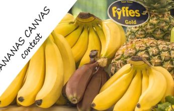 bananas-as-canvas