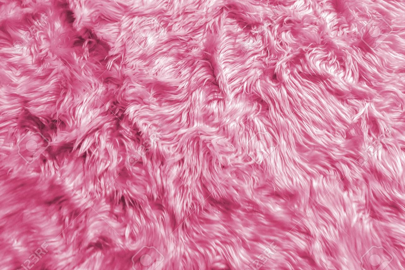 70868277-wool-backgrounds-texture-closeup-of-natural-soft-pink-animal
